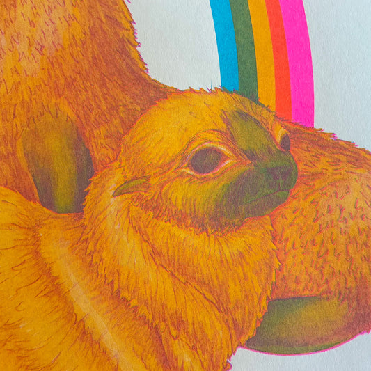 Northern Fur Seal Riso Print