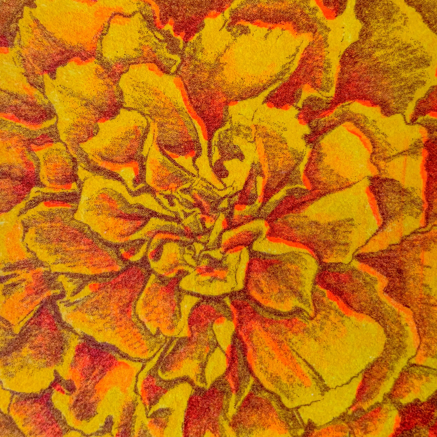 Marigold Riso Print