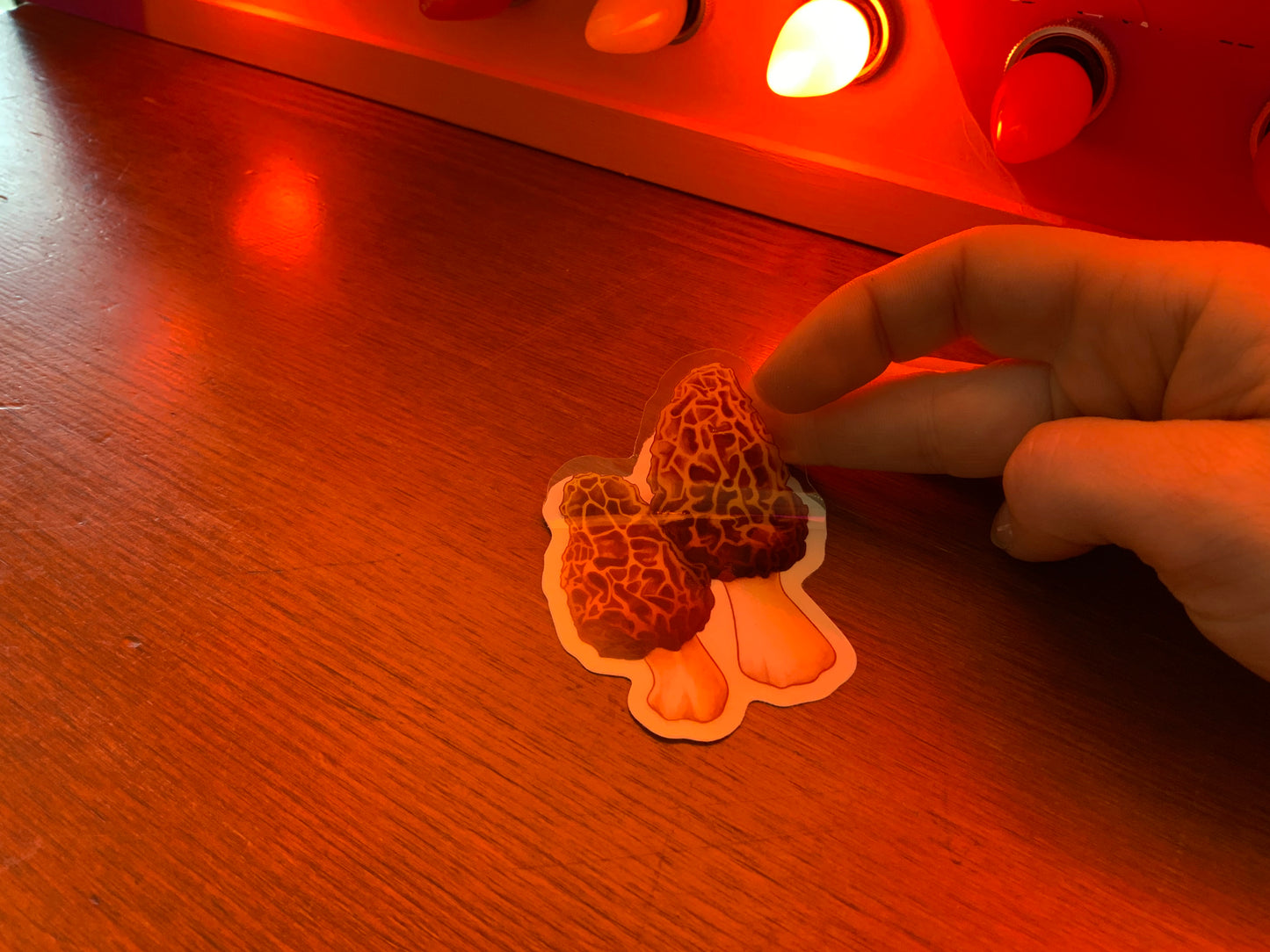 Clear-Backed Morels Sticker