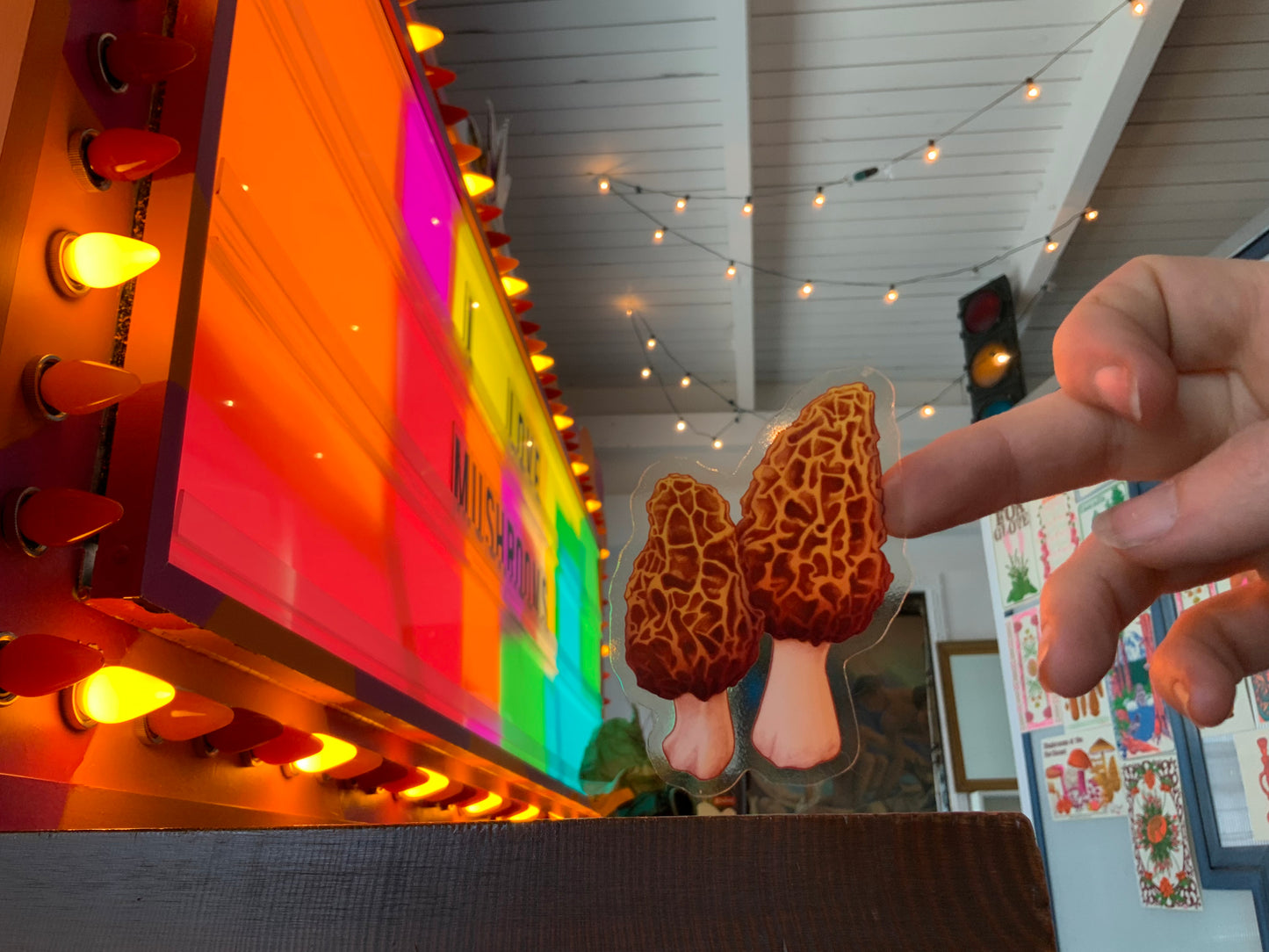 Clear-Backed Morels Sticker