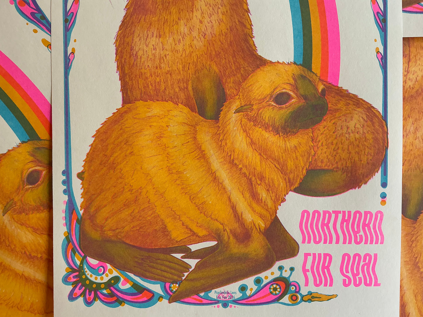 Northern Fur Seal Riso Print