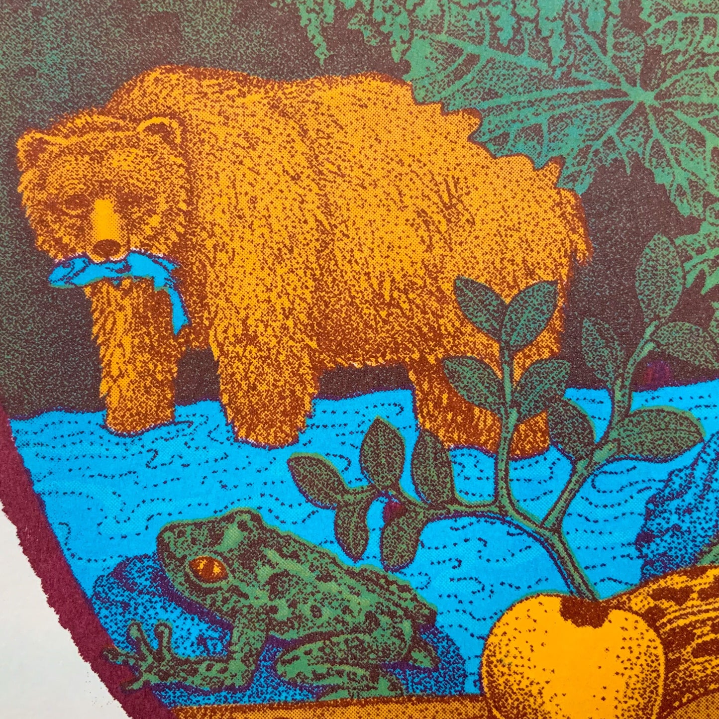 Temperate Rainforest Riso Print