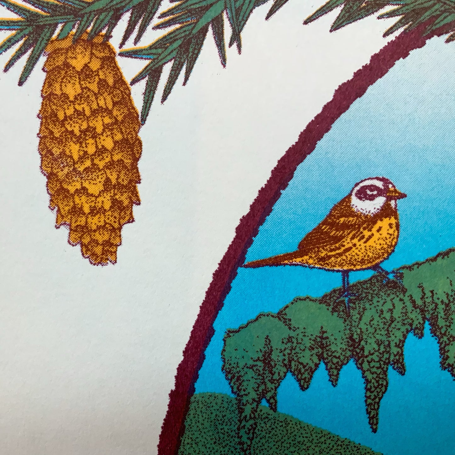 Temperate Rainforest Riso Print