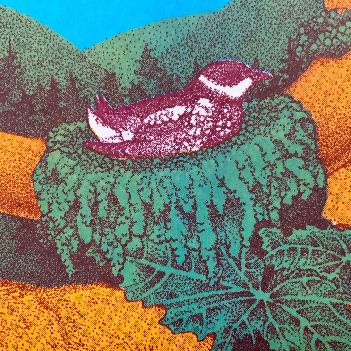 Temperate Rainforest Riso Print