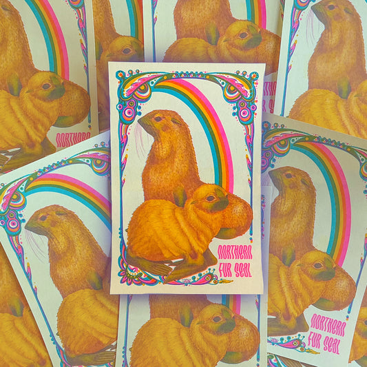 Northern Fur Seal Riso Print