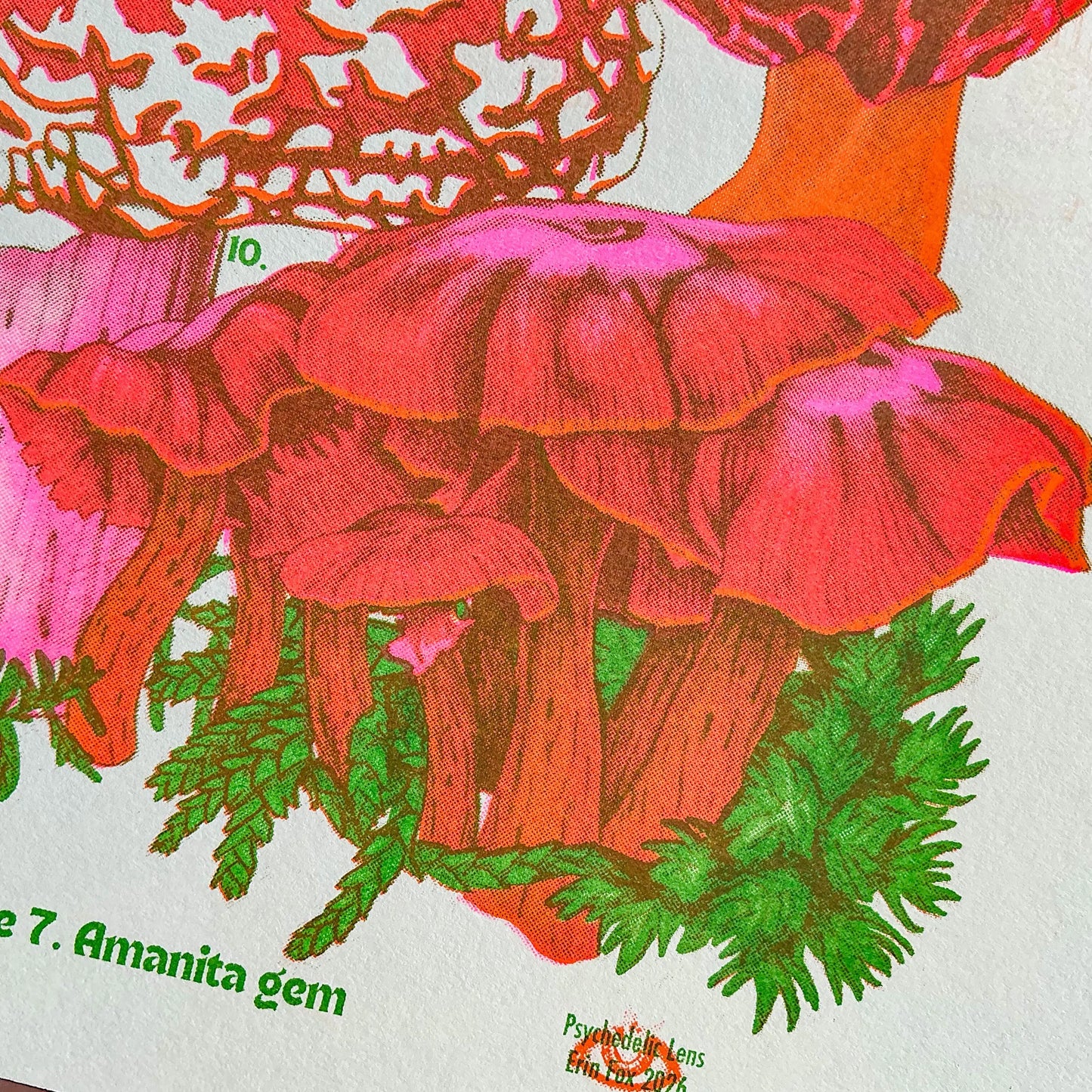 Mushrooms of the NW Riso Print