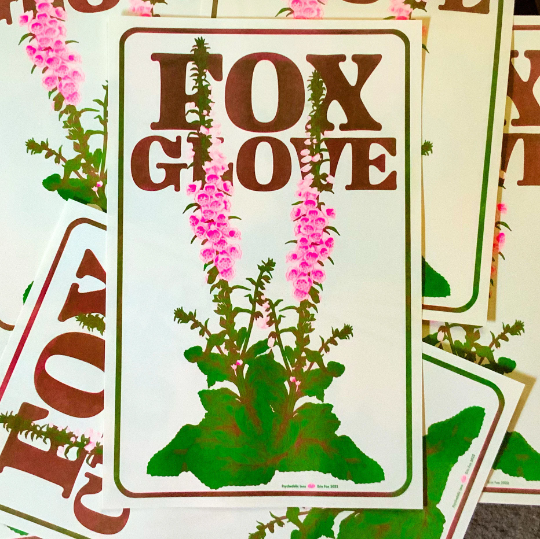 Foxglove Riso Print