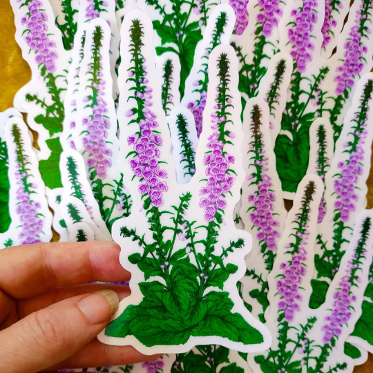 Foxglove Clear Backed Vinyl Sticker