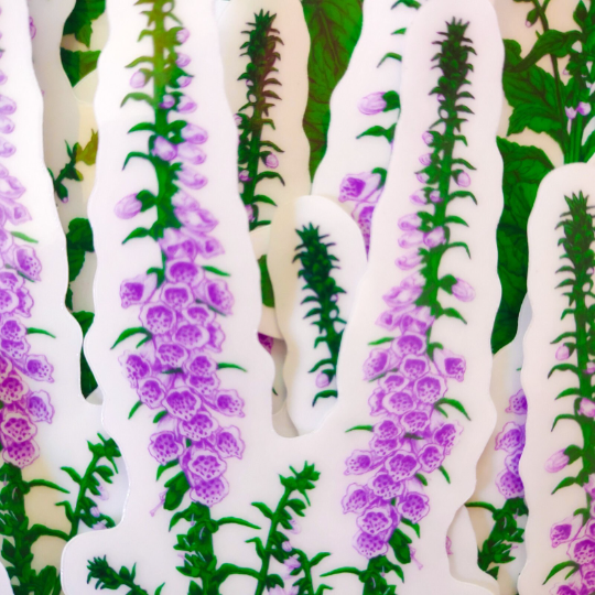 Foxglove Clear Backed Vinyl Sticker