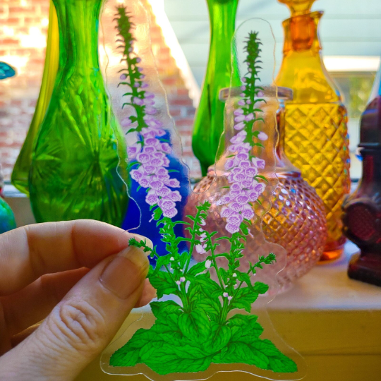 Foxglove Clear Backed Vinyl Sticker