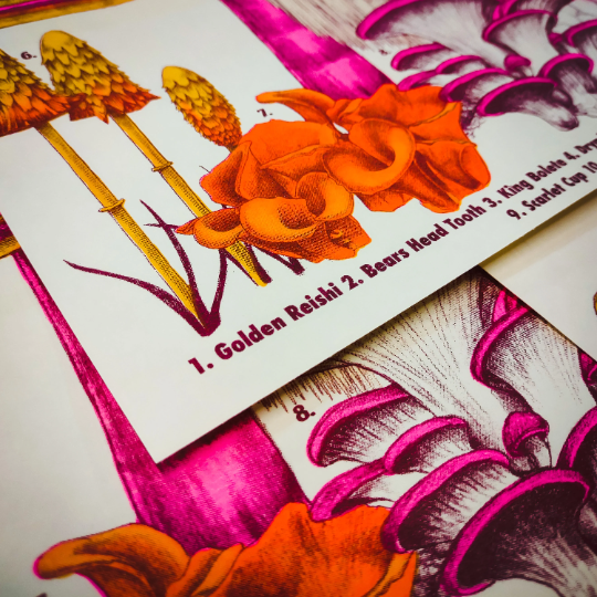 Mushroom of the North East Riso Print