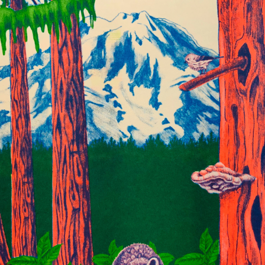 PNW Nature Scene Riso Print