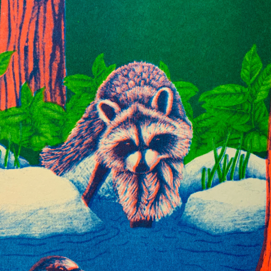 PNW Nature Scene Riso Print