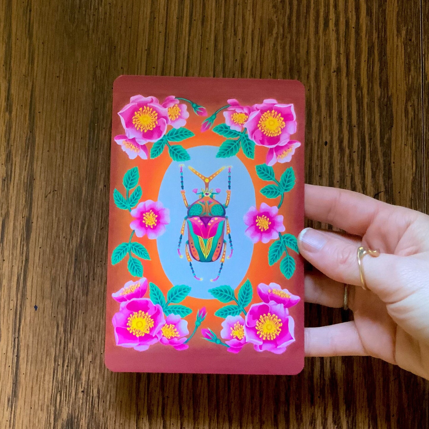 Illustrated Insect Botanical Postcard Pack