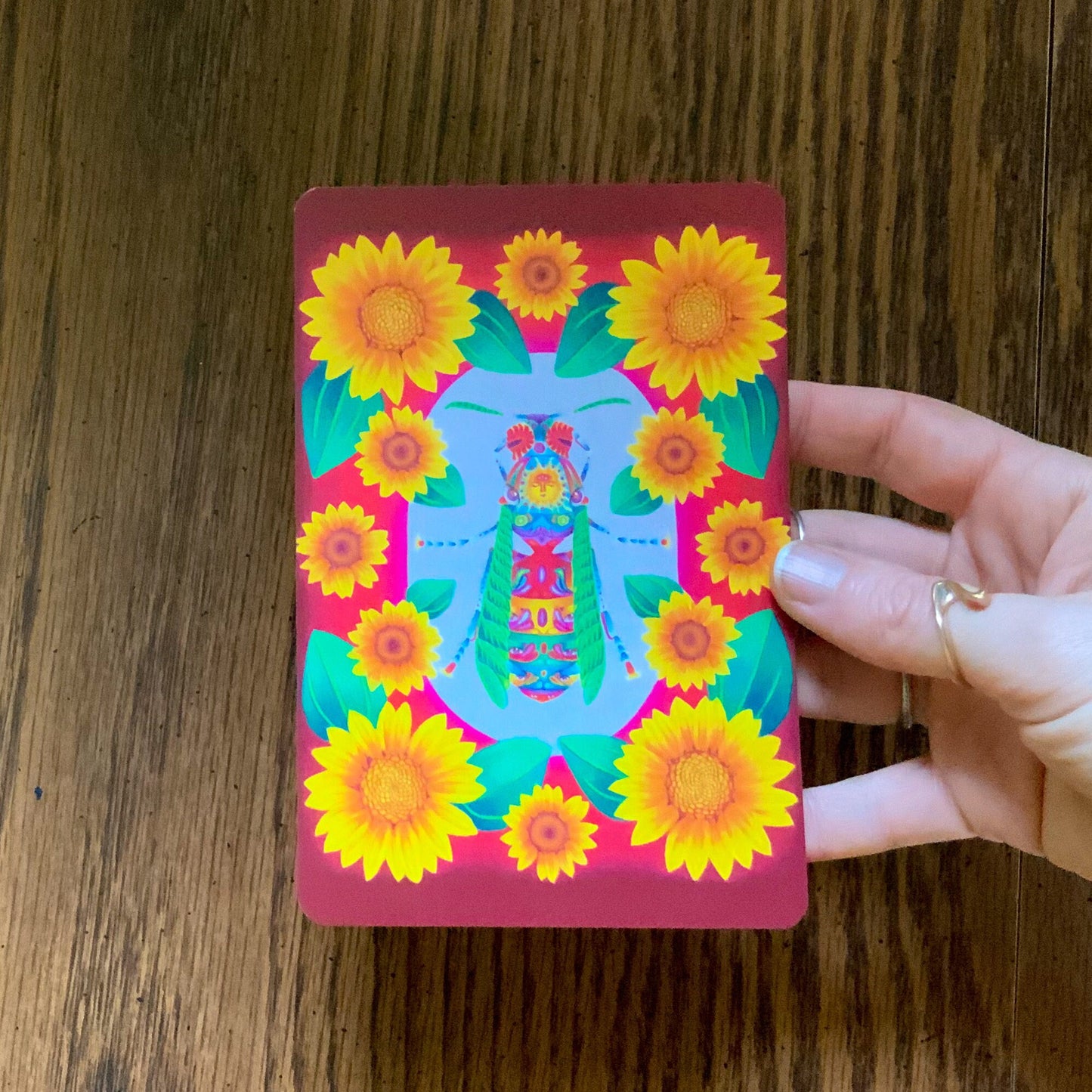 Illustrated Insect Botanical Postcard Pack