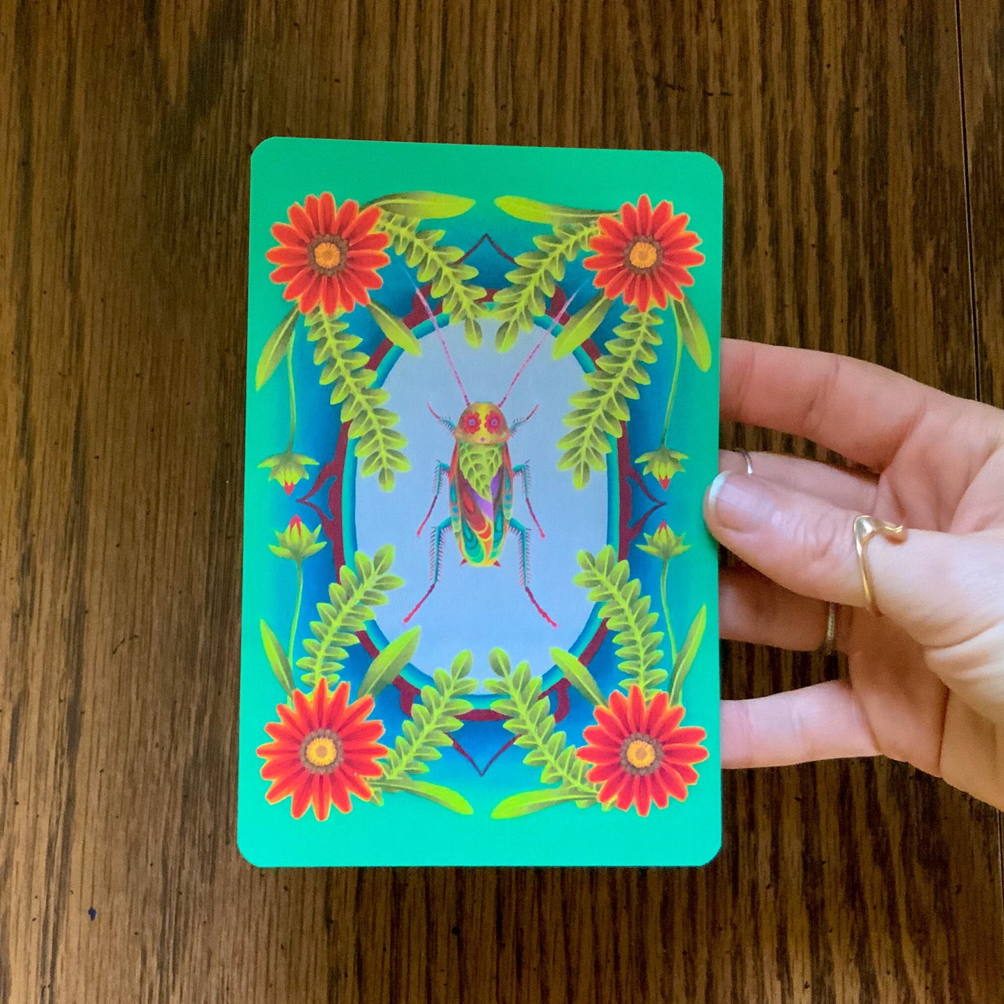 Illustrated Insect Botanical Postcard Pack