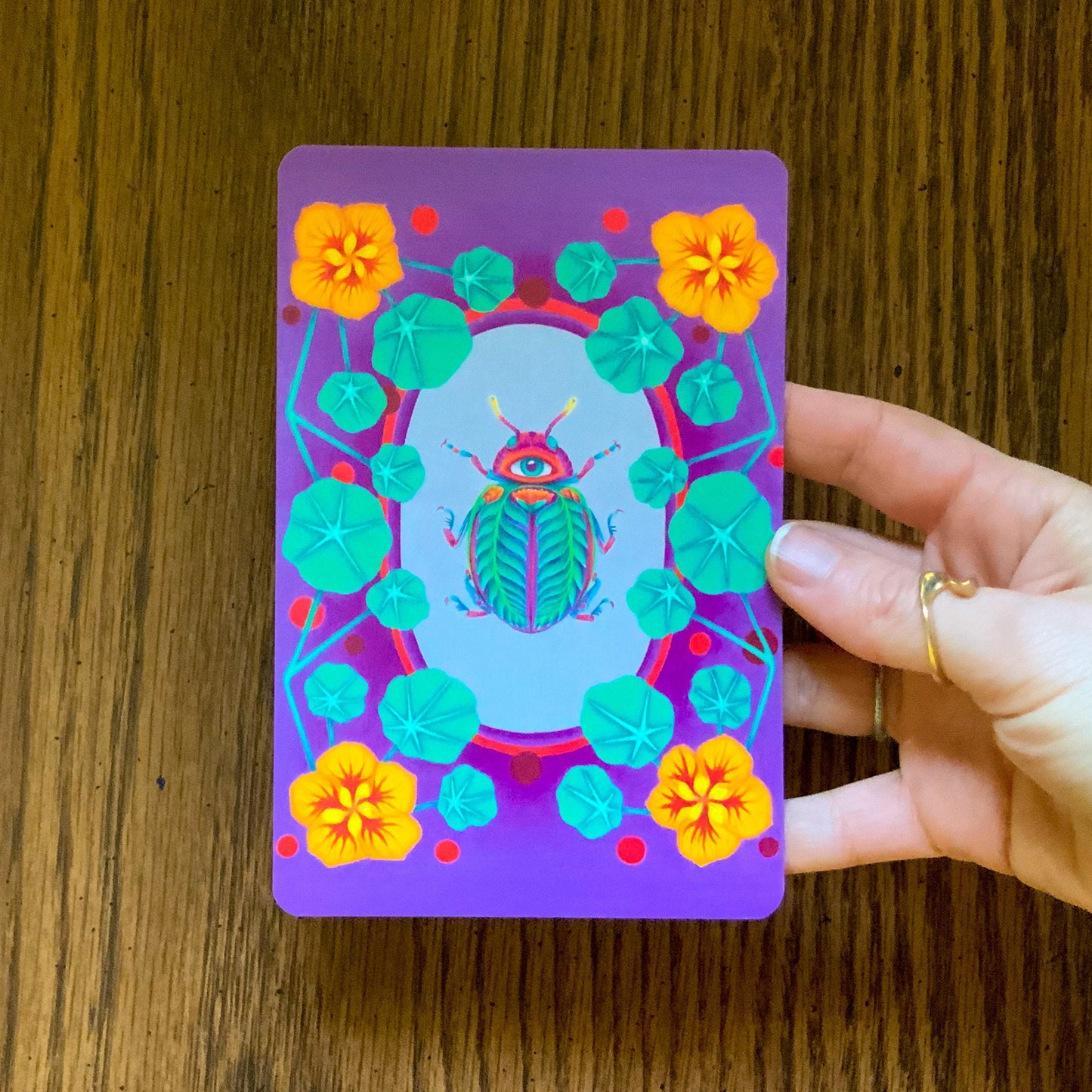 Illustrated Insect Botanical Postcard Pack