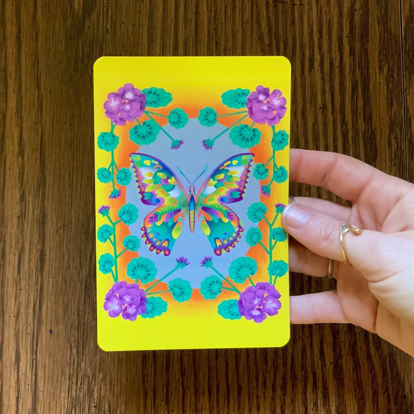 Illustrated Insect Botanical Postcard Pack