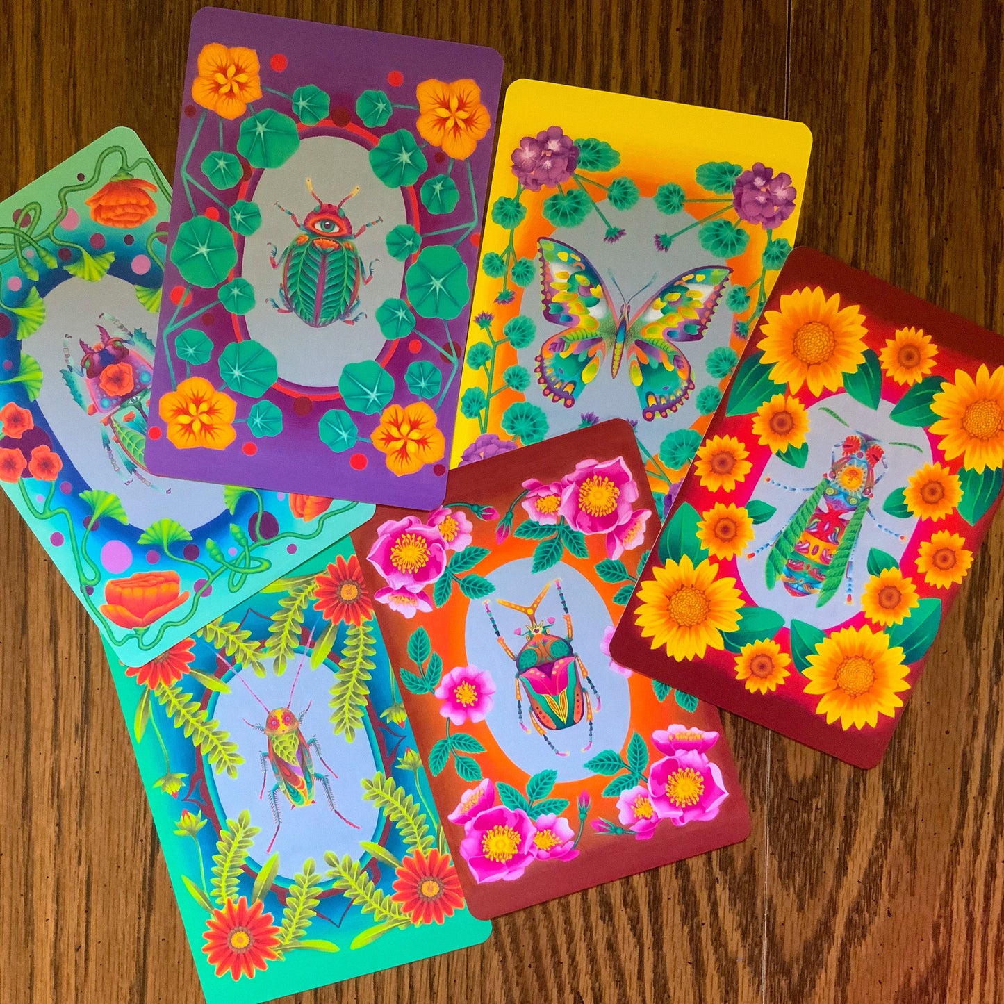 Illustrated Insect Botanical Postcard Pack