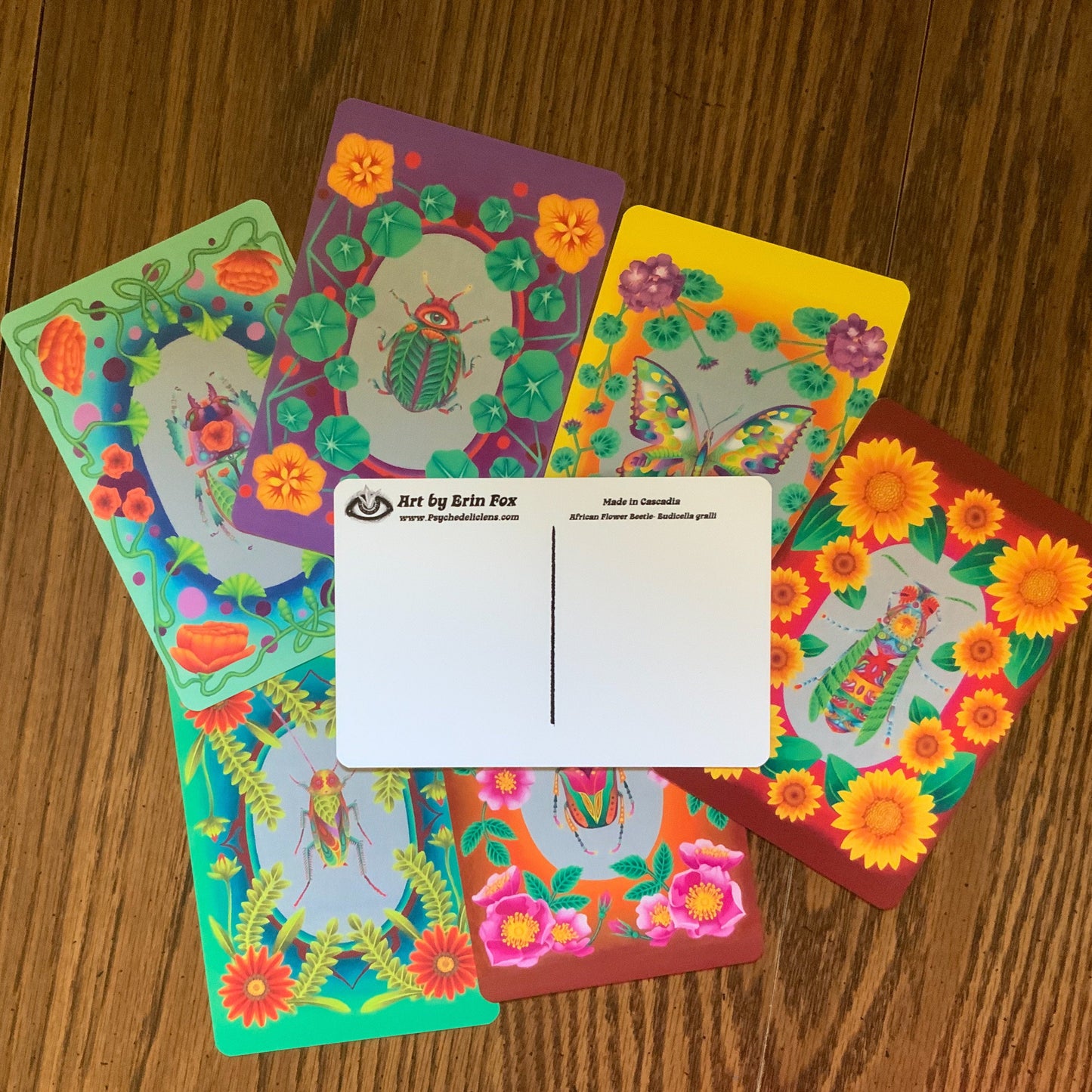 Illustrated Insect Botanical Postcard Pack