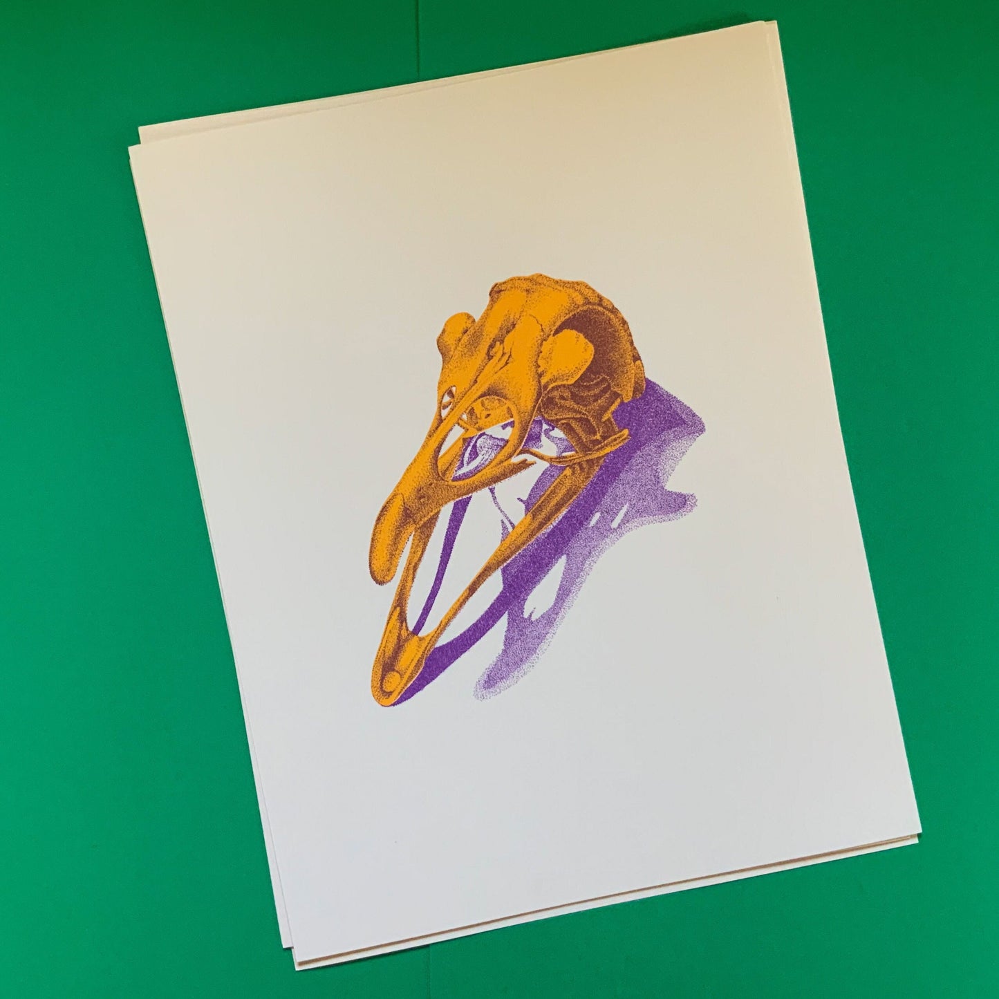 Bird Skull Riso Print
