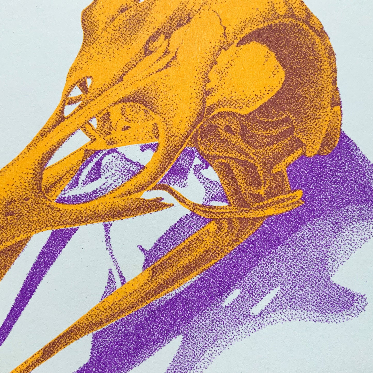 Bird Skull Riso Print