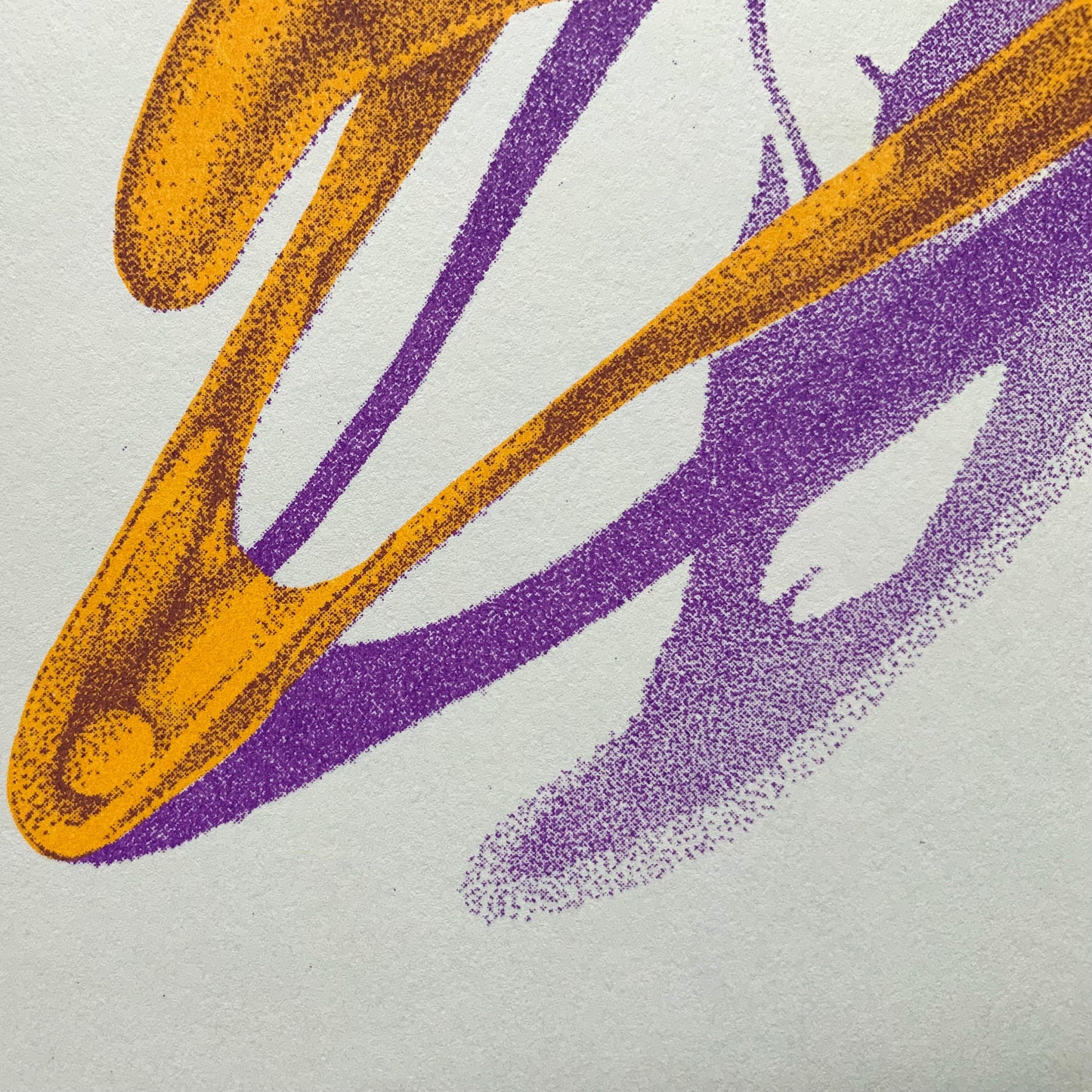 Bird Skull Riso Print