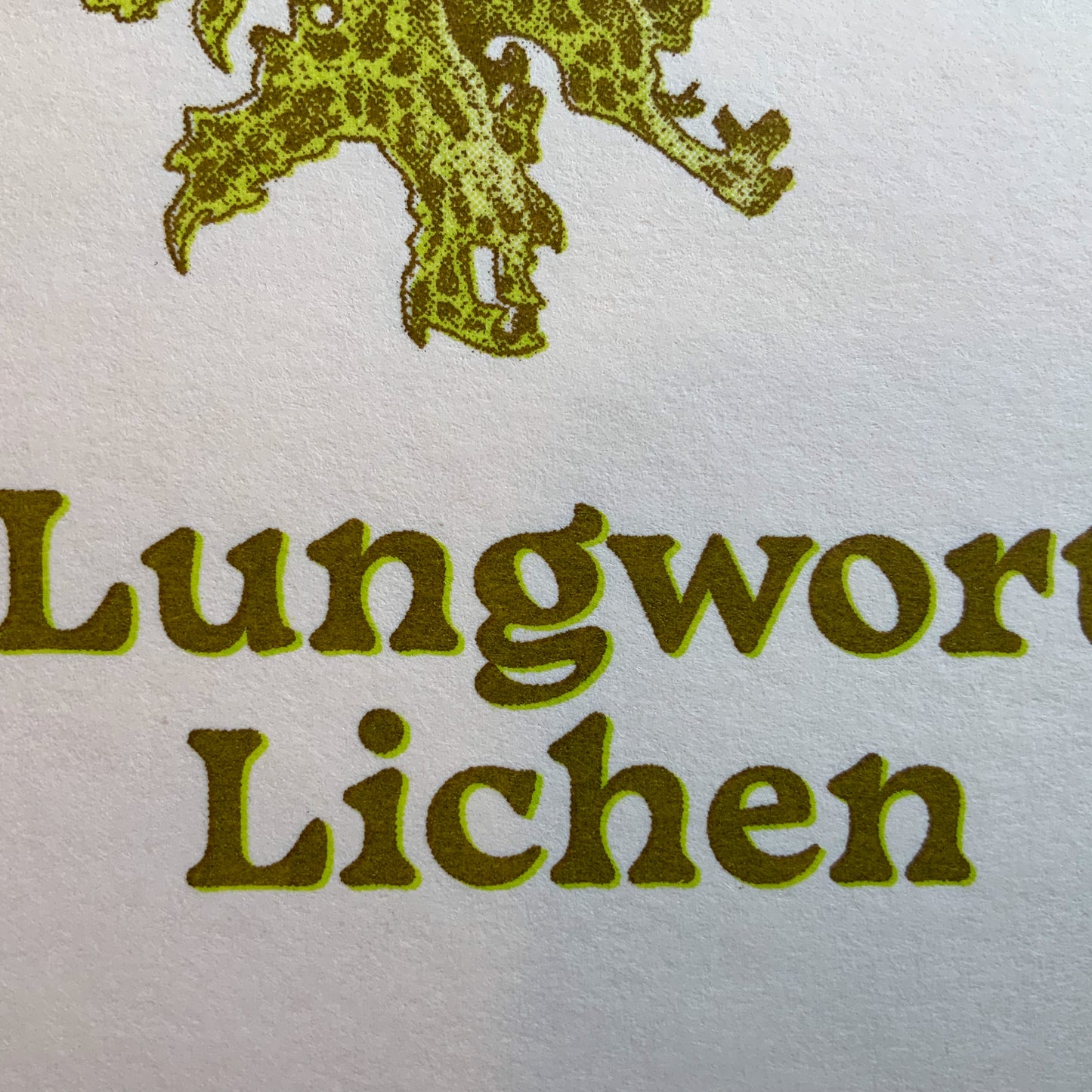 Lungwort Lichen Riso print