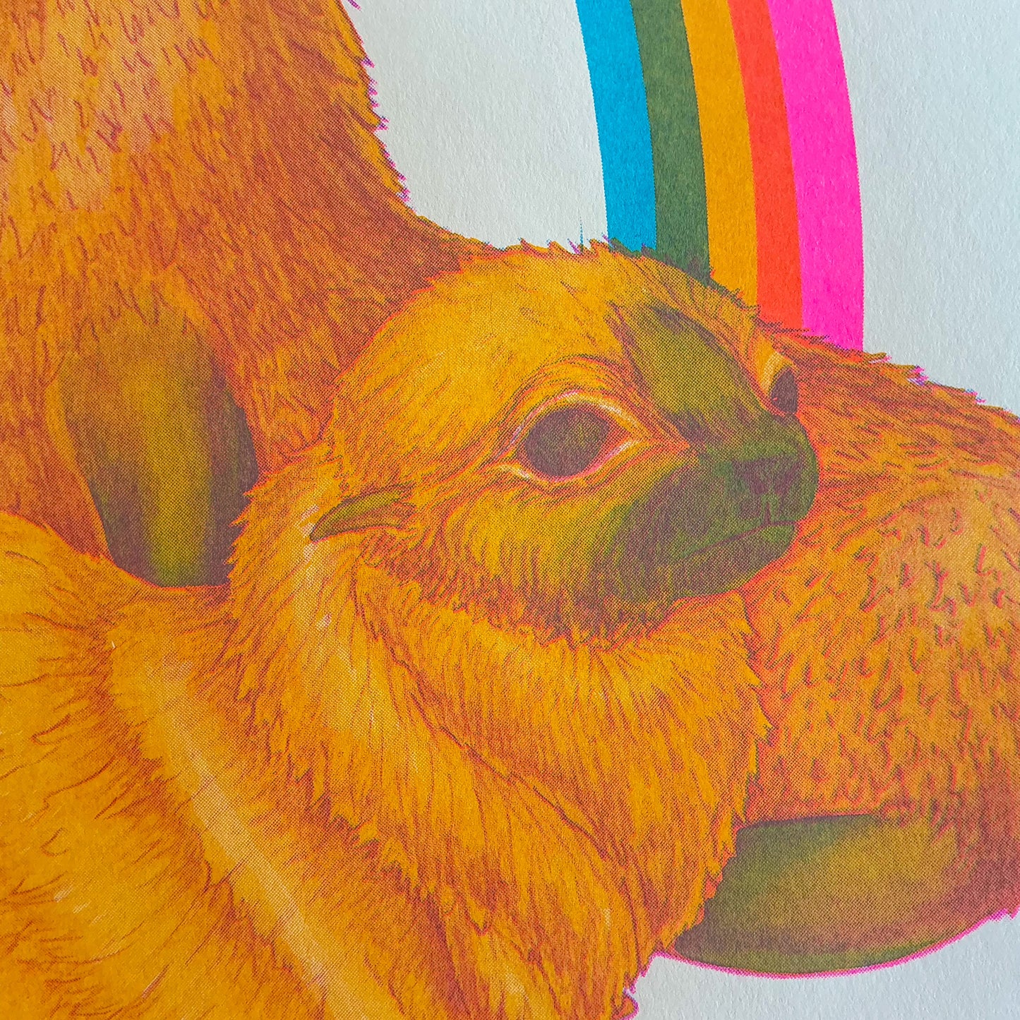 Northern Fur Seal Riso Print