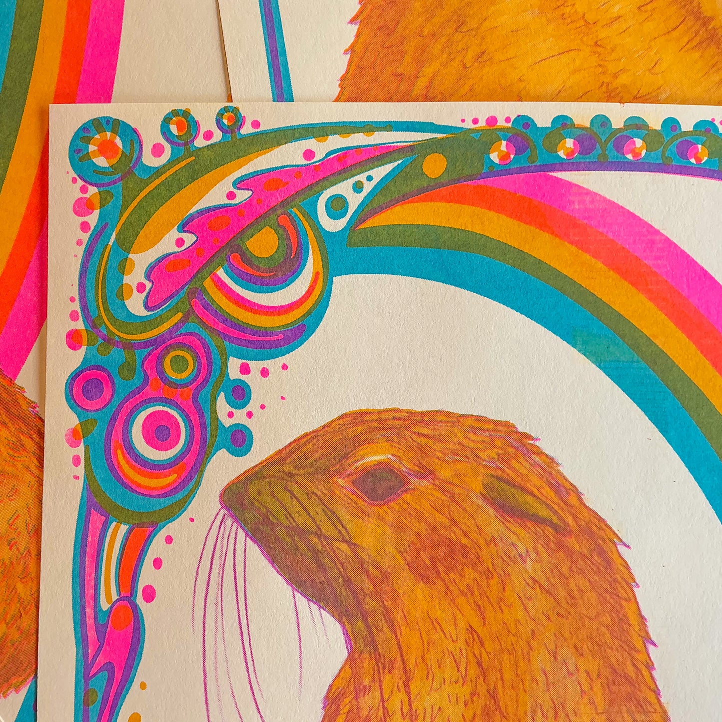 Northern Fur Seal Riso Print