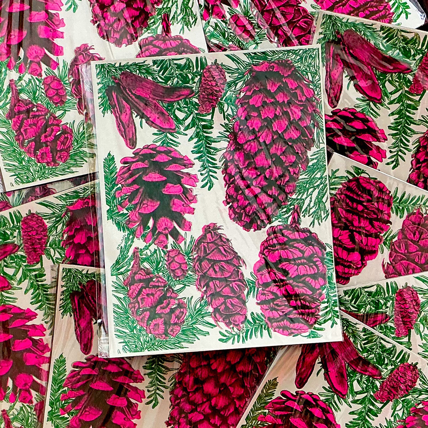 Pink Pinecones!