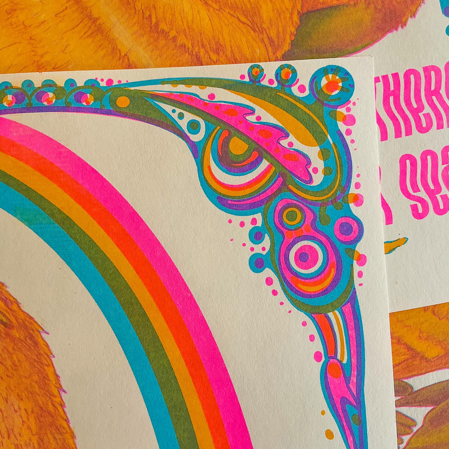Northern Fur Seal Riso Print