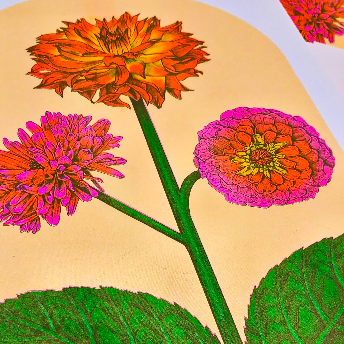 Magical Flower Riso Print