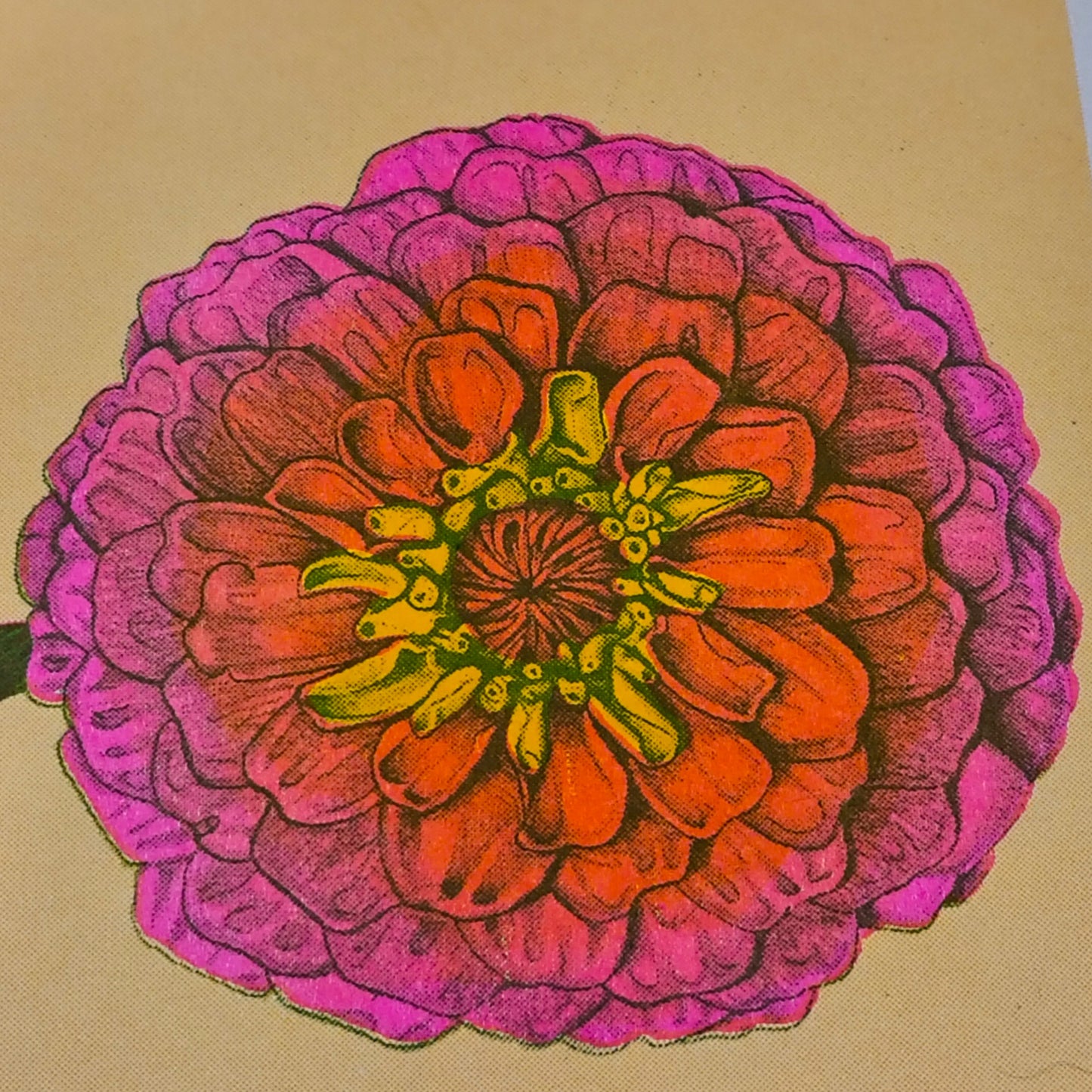 Magical Flower Riso Print