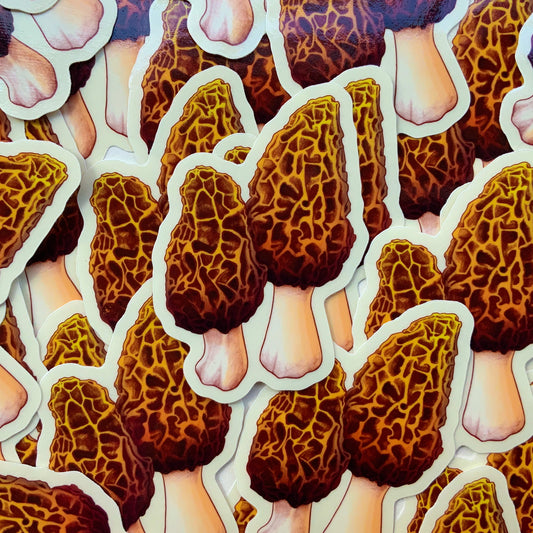 Clear-Backed Morels Sticker