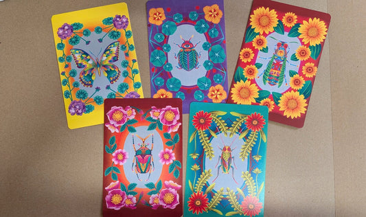 Illustrated Insect Botanical Postcard Pack