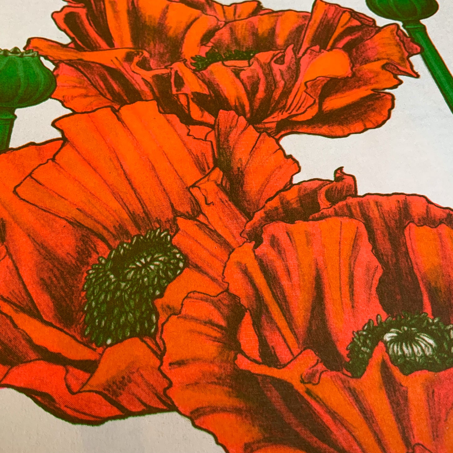 Original Poppy Riso Print