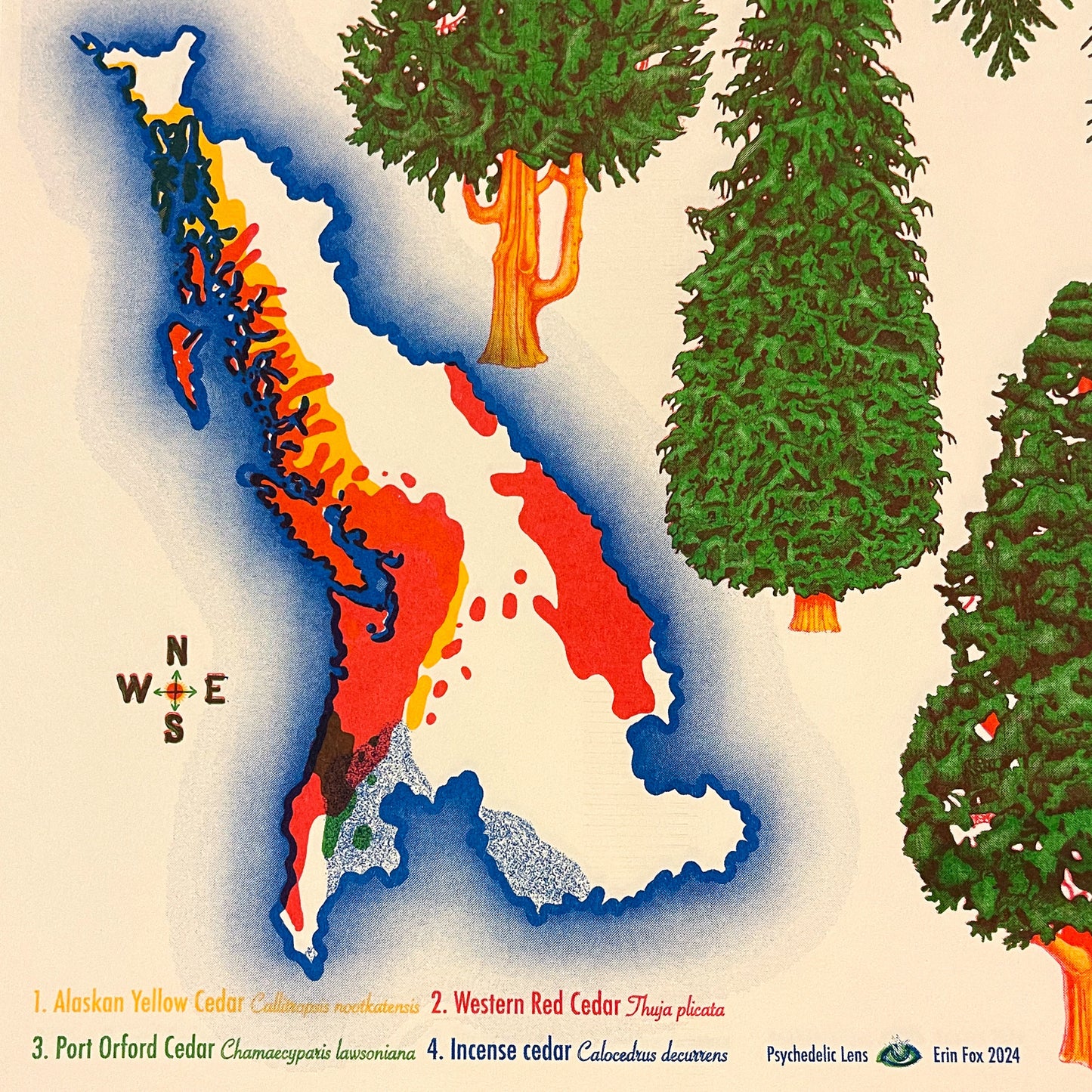 Cedars of Cascadia Riso Print