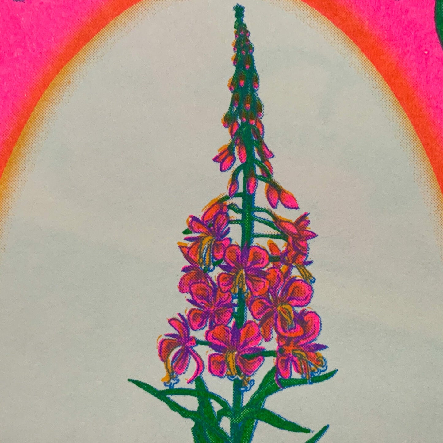 Fireweed Riso Print