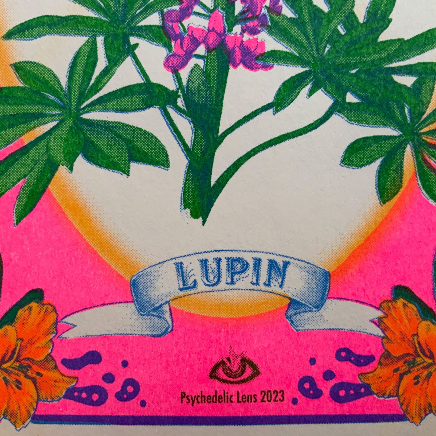 Lupin Riso Print