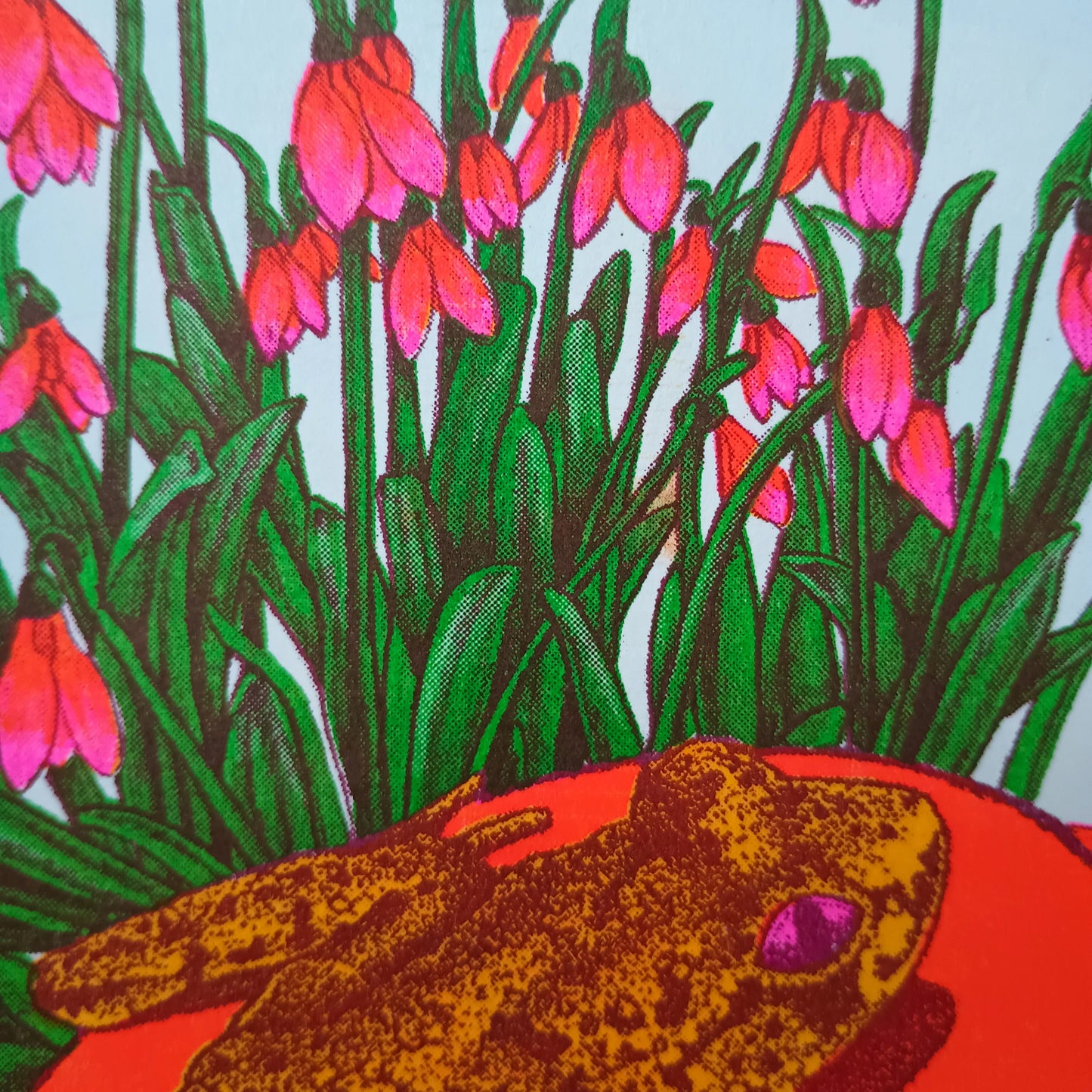 Floral Frog Riso Print