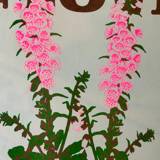 Foxglove Riso Print