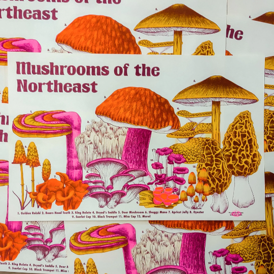 Mushroom of the North East Riso Print