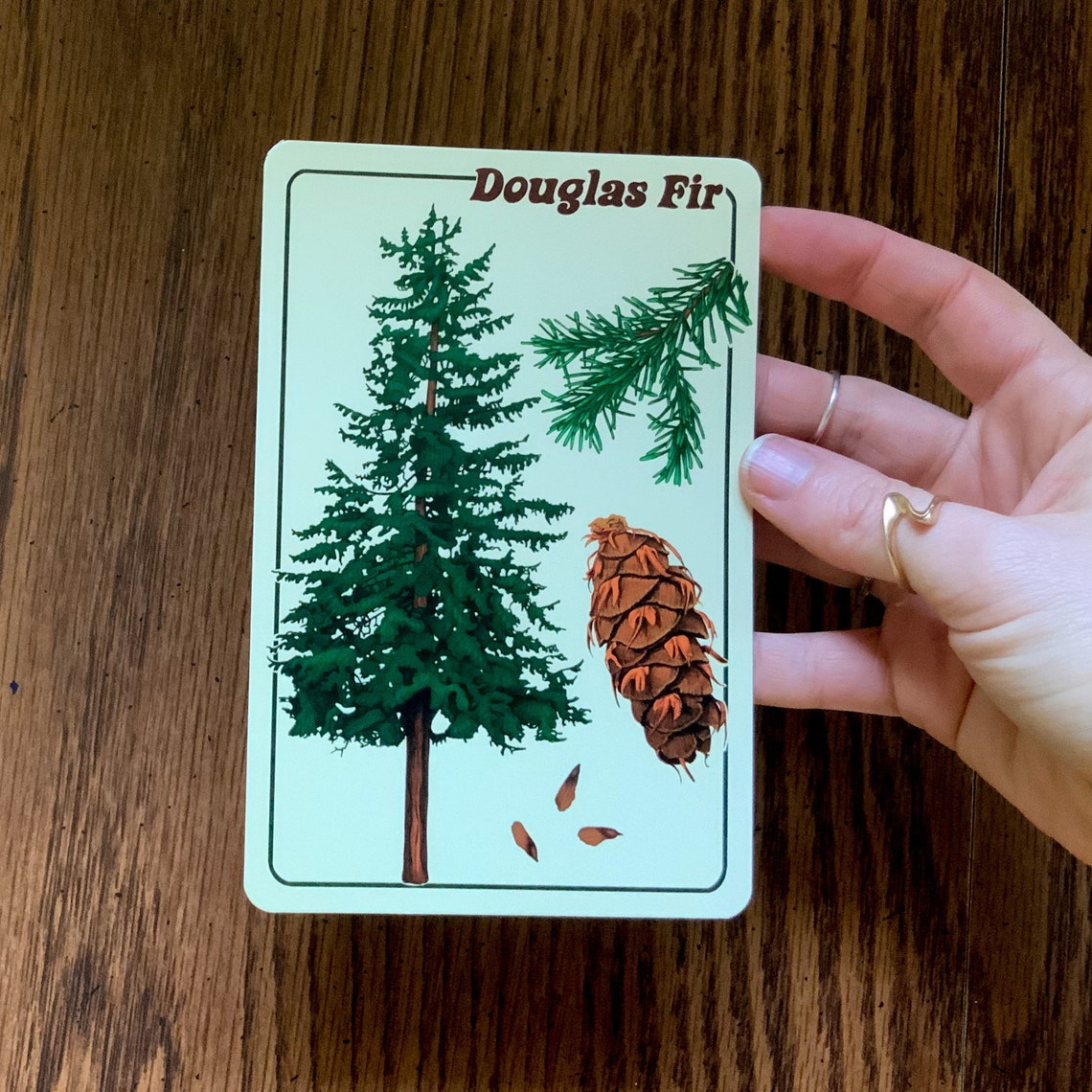 Tree Identification Postcard Pack