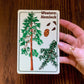 Tree Identification Postcard Pack