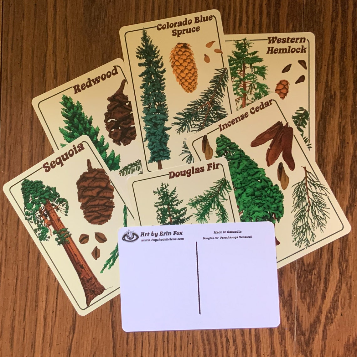 Tree Identification Postcard Pack