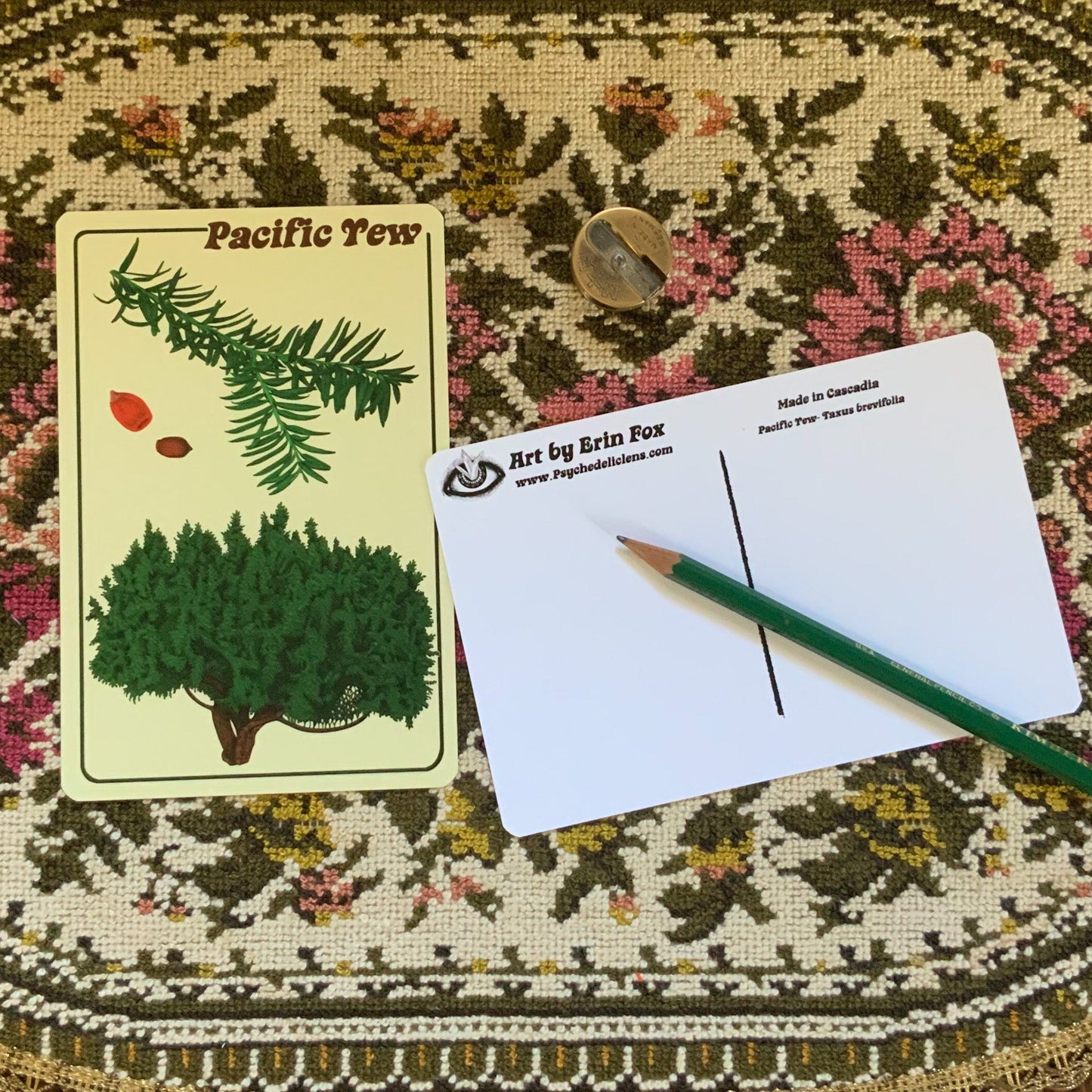 Illustrated Tree Identification Postcard Pack II