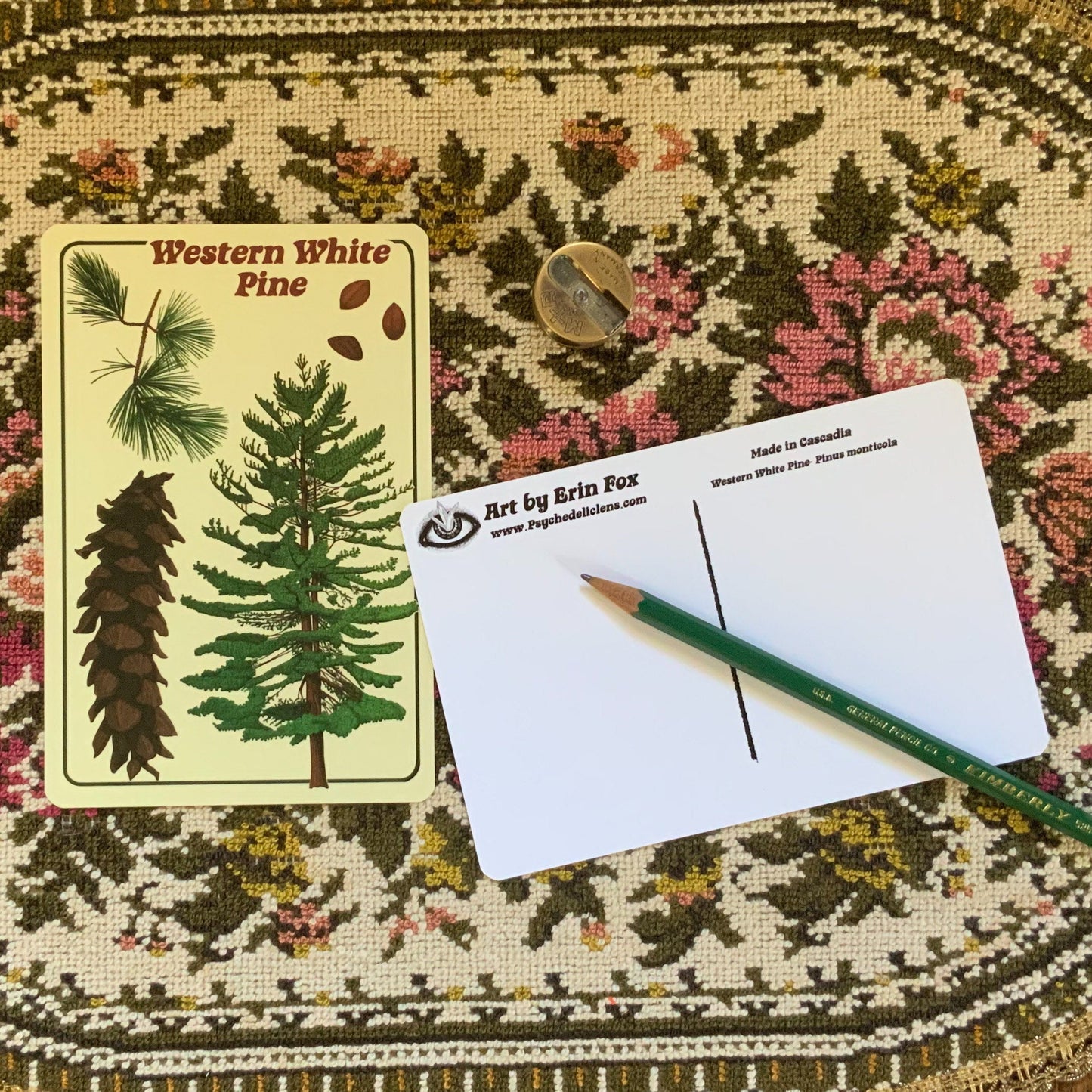 Illustrated Tree Identification Postcard Pack II