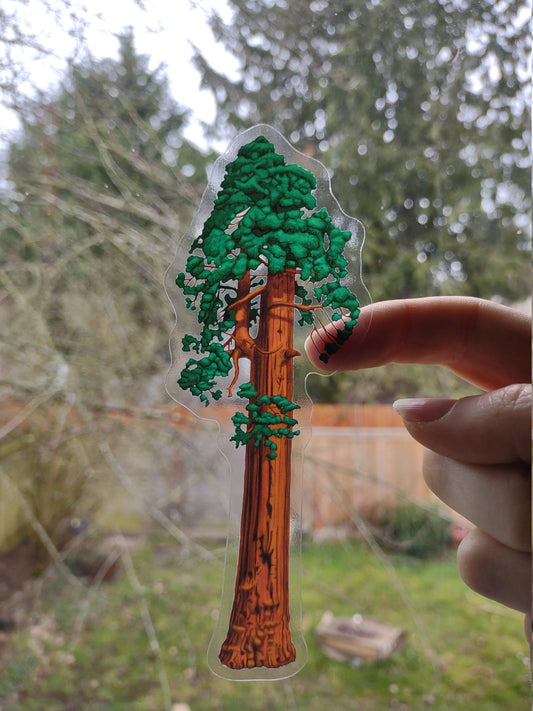 Sequoia Tree sticker- Clear Backing