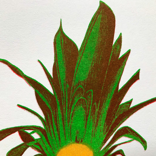 Sliced Pineapple Riso Print